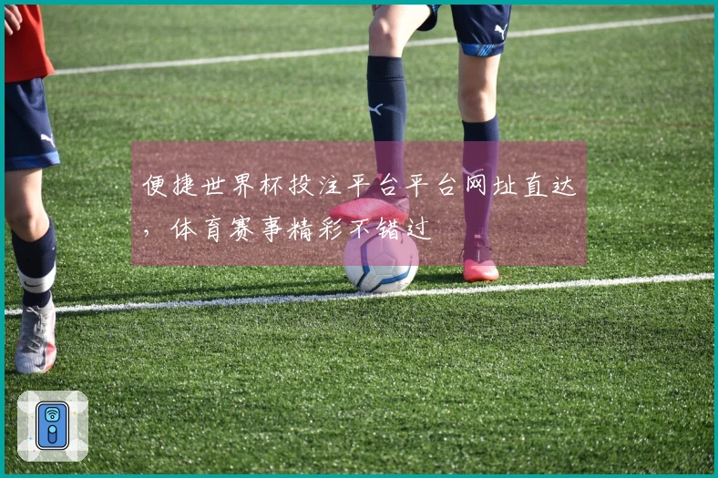 便捷世界杯投注平台平台网址直达，体育赛事精彩不错过