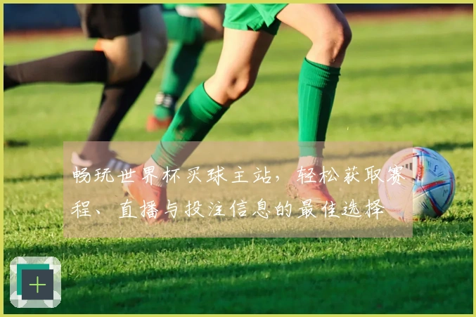 畅玩世界杯买球主站，轻松获取赛程、直播与投注信息的最佳选择
