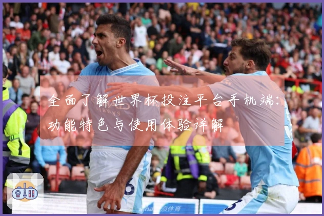全面了解世界杯投注平台手机端：功能特色与使用体验详解