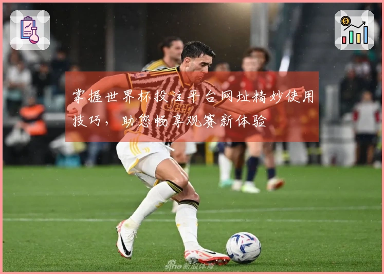 掌握世界杯投注平台网址精妙使用技巧，助您畅享观赛新体验
