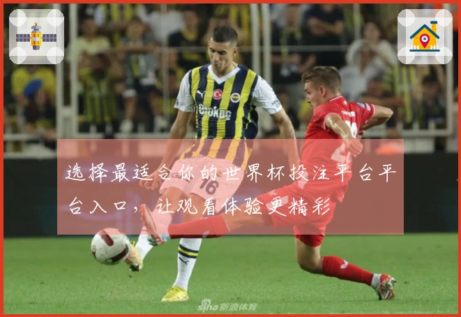 选择最适合你的世界杯投注平台平台入口，让观看体验更精彩