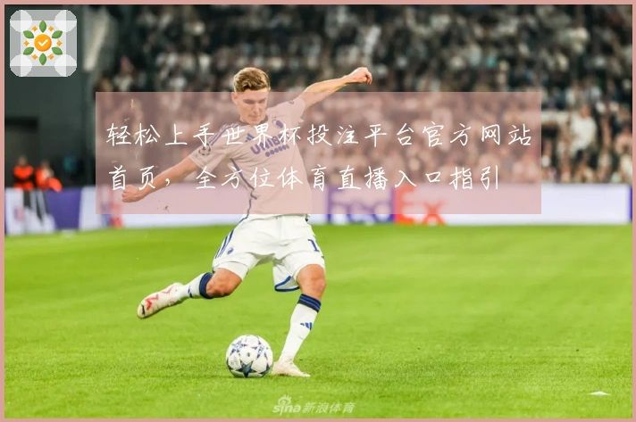 轻松上手世界杯投注平台官方网站首页，全方位体育直播入口指引