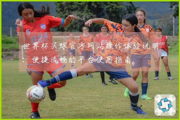世界杯买球官方网站操作体验说明：便捷流畅的平台使用指南