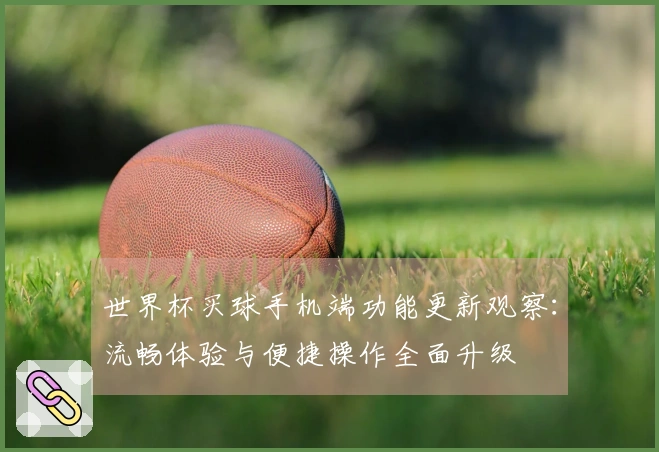 世界杯买球手机端功能更新观察：流畅体验与便捷操作全面升级