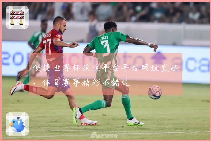 便捷世界杯投注平台平台网址直达，体育赛事精彩不错过