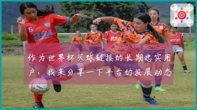 作为世界杯买球链接的长期忠实用户，我来分享一下平台的发展动态和我的使用心得